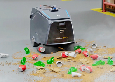 Beetle and rubbish.png